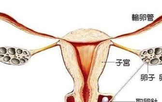 无为市做试管婴儿怎么样？推荐这几家试管医院