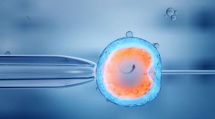 女性有染色体罗氏易位在福安市做试管养囊成功率高吗？试管移植后需要保胎吗！