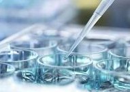 宁德市医院提供试管婴儿服务吗？