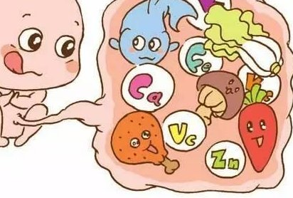 试管婴儿的几率更高？试管婴儿要少花钱？